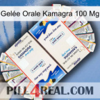 Gelée Orale Kamagra 100 Mg kamagra1